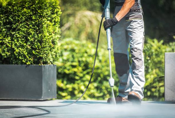 Best Solar Panel Cleaning  in St Robert, MO