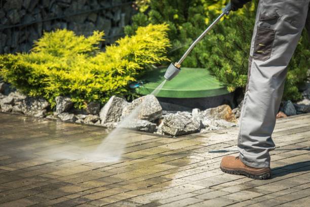 Best Animal Enclosure Cleaning  in St Robert, MO