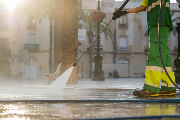 Best Sidewalk and Walkway Cleaning  in St Robert, MO
